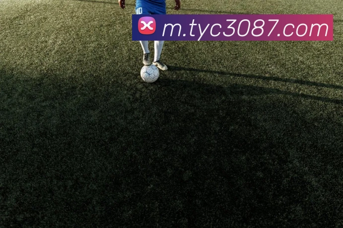 战术演练
